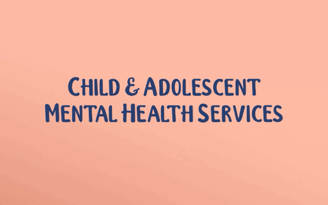 Navigating CAMHS AI Case Study